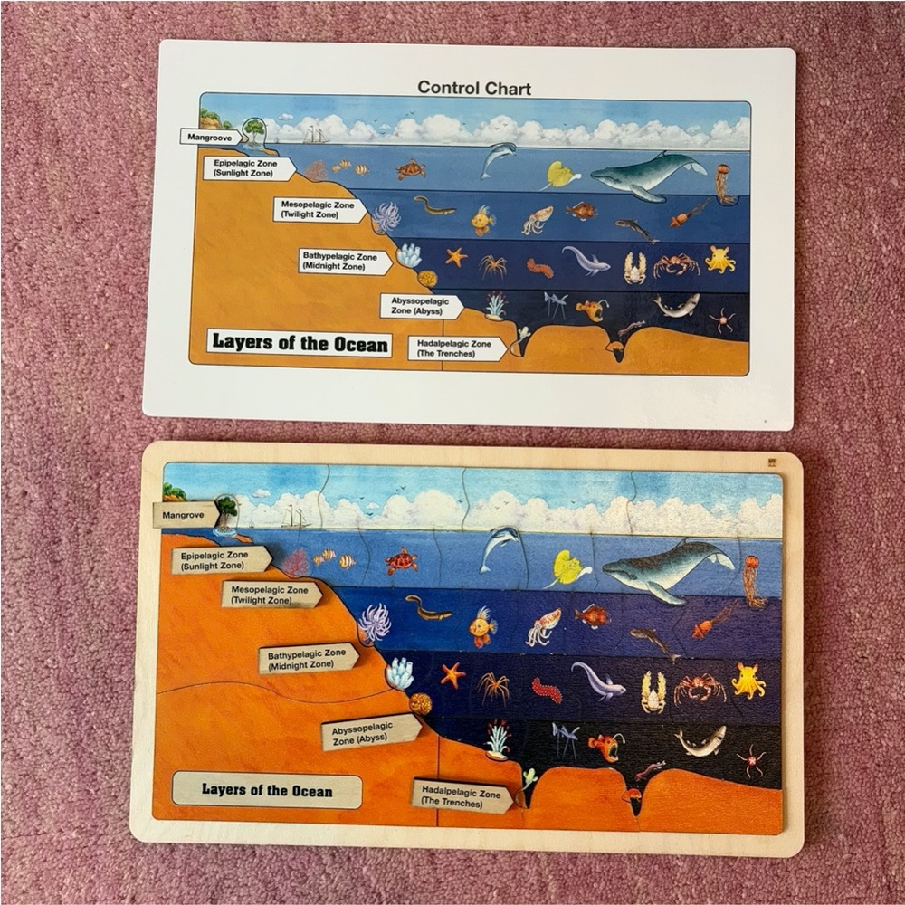 Montessori Layers of the Ocean Puzzle Wooden Puzzle |
Homeschool